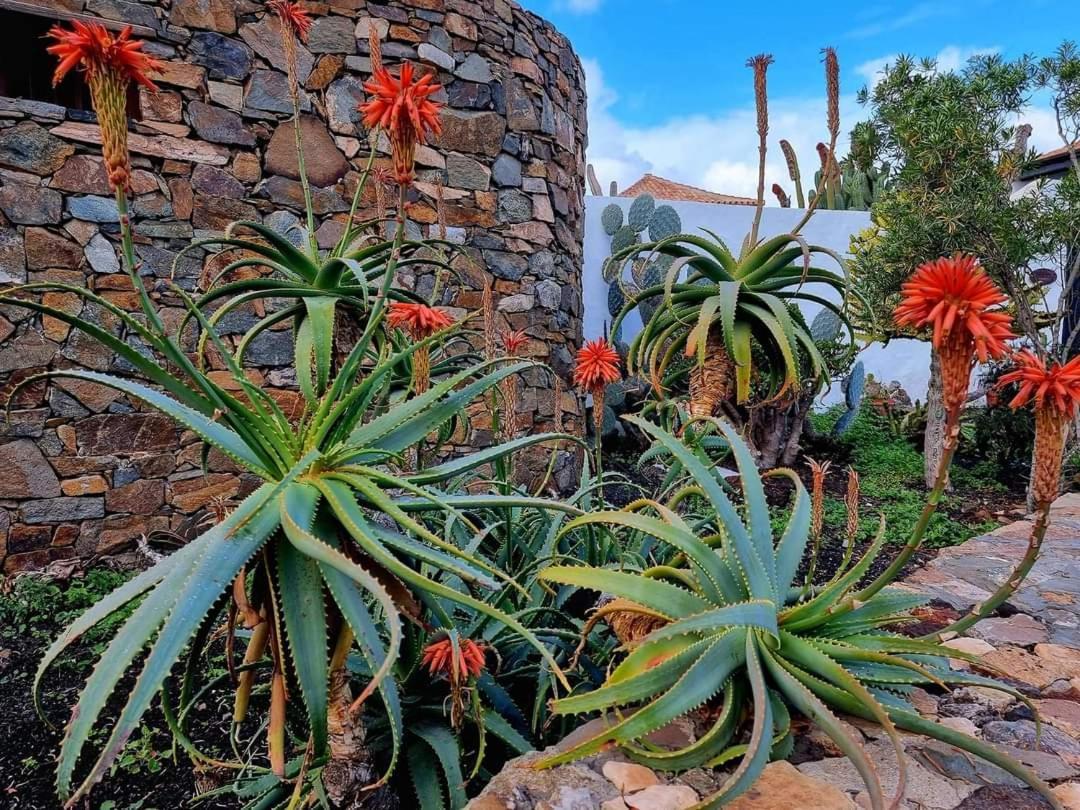 Apartmán Casita De Lea Costa De Antigua Exteriér fotografie